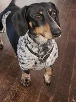 processed/525fbbfe-43f5-4b58-a9eb-9a7c83a02d0f/facility/a49bacdd-f98b-4691-9b82-c88e47646f0e