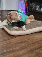 processed/525fbbfe-43f5-4b58-a9eb-9a7c83a02d0f/facility/c9eb176b-892f-47c5-9043-8a4c9577d659