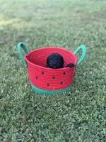 Toy Poodle Male, a male Poodle - Toy  for sale in Cartersville, GA – 3 of 8