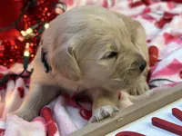 processed/5263bff0-ccb1-44d0-9bb4-25964c3f9388/listing/58b0901a-52a1-4018-8686-397ba0bb0f37/9bc2c105-cba5-4a53-b5ce-3f3a05c18e70