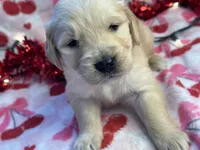 processed/5263bff0-ccb1-44d0-9bb4-25964c3f9388/listing/58b0901a-52a1-4018-8686-397ba0bb0f37/c1b42f6c-a58f-4e05-a9ee-148c5174f6ec