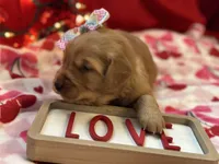 processed/5263bff0-ccb1-44d0-9bb4-25964c3f9388/listing/6d485a6a-78de-42ce-89f2-0fc074a6a417/124abdeb-c6a0-4fab-b2ed-88e338cd5452