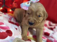 processed/5263bff0-ccb1-44d0-9bb4-25964c3f9388/listing/6d485a6a-78de-42ce-89f2-0fc074a6a417/35f25b5d-bc05-4ef5-835a-9dc68f346110