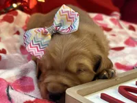 processed/5263bff0-ccb1-44d0-9bb4-25964c3f9388/listing/6d485a6a-78de-42ce-89f2-0fc074a6a417/5fc505c7-9640-49b0-8b5b-da6668356578