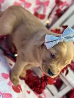 processed/5263bff0-ccb1-44d0-9bb4-25964c3f9388/listing/6d485a6a-78de-42ce-89f2-0fc074a6a417/79251447-7e02-44e0-bf2f-b1a1bc036219