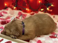 processed/5263bff0-ccb1-44d0-9bb4-25964c3f9388/listing/6d485a6a-78de-42ce-89f2-0fc074a6a417/ff0e12ad-b373-4c3b-93d2-13c41c1455e1