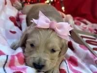 processed/5263bff0-ccb1-44d0-9bb4-25964c3f9388/listing/b8e28050-0bbb-47dc-a180-e801010f5596/88653a63-cbd4-4769-8e8e-35152283bb92