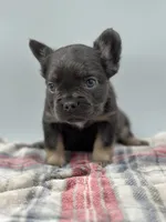 processed/526c7d89-0039-4e71-89b2-26e27d603e15/listing/2719b3c5-d634-4a3a-b29f-5248f8c24e03/3a36e0c1-6a3b-4574-89d4-f4f4af2be416