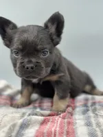 processed/526c7d89-0039-4e71-89b2-26e27d603e15/listing/2719b3c5-d634-4a3a-b29f-5248f8c24e03/4ef61447-20ae-4765-9305-b628dd4234aa