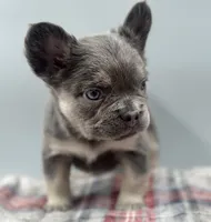 processed/526c7d89-0039-4e71-89b2-26e27d603e15/listing/c090ec32-539e-41c9-ab56-825605cb302d/0f07d95c-703c-47c4-96c6-0dea8826f121