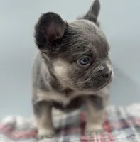 processed/526c7d89-0039-4e71-89b2-26e27d603e15/listing/c090ec32-539e-41c9-ab56-825605cb302d/6502d3a9-c584-4867-bfb8-9d1e3a5efcfa