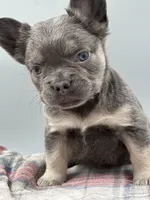 processed/526c7d89-0039-4e71-89b2-26e27d603e15/listing/c090ec32-539e-41c9-ab56-825605cb302d/8b2e3b0e-878d-44ba-bd9b-cea95dae7c31