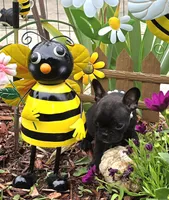 Bee Trice, a female Boston Terrier and French Bulldog for sale in Camden, MI – 3 of 9
