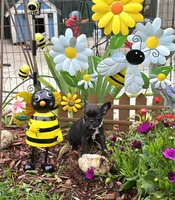 Bee Trice, a female Boston Terrier and French Bulldog for sale in Camden, MI – 5 of 9
