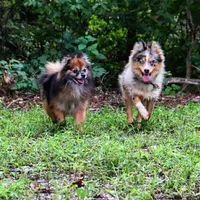 processed/529ae49d-344c-45f7-95fa-e2e980dfe4b1/facility/8f1bc582-831a-4802-8a37-2587431ab6d2