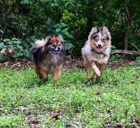 processed/529ae49d-344c-45f7-95fa-e2e980dfe4b1/facility/8f1bc582-831a-4802-8a37-2587431ab6d2