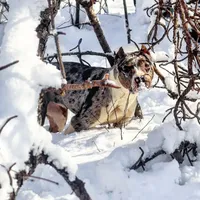 processed/529ae49d-344c-45f7-95fa-e2e980dfe4b1/facility/bf31341a-51d2-43d6-aa2c-f2c0b20f2e61