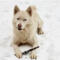 processed/529ae49d-344c-45f7-95fa-e2e980dfe4b1/facility/ecd75010-39f8-4aa7-ae7e-c26efedd38b6