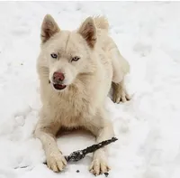 processed/529ae49d-344c-45f7-95fa-e2e980dfe4b1/facility/ecd75010-39f8-4aa7-ae7e-c26efedd38b6