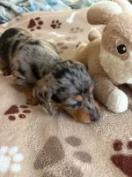 processed/529c916e-0a0c-458c-8ab0-94bb812a3dd5/listing/5df2df1b-4435-41e0-bf82-9bd4c5489632/f688d600-8016-43f6-ba80-2d44b7f178cb