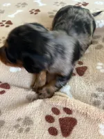 processed/529c916e-0a0c-458c-8ab0-94bb812a3dd5/listing/6d527ceb-0f28-4467-aee4-0551f2b7a921/de04ce28-957b-4794-ae36-4de495318d9b