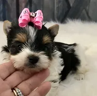 processed/52a1435d-97b1-4c3f-ab9f-a7691cf16ab4/facility/1b7d2ed9-ab50-4b6c-82dd-59a4ddc37778