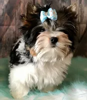 processed/52a1435d-97b1-4c3f-ab9f-a7691cf16ab4/facility/1fdd58de-df8d-465d-8e7b-32426ca15f96