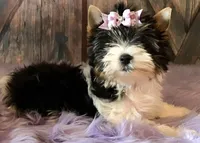 processed/52a1435d-97b1-4c3f-ab9f-a7691cf16ab4/facility/5e7bcd80-71b5-4583-ae9b-884f22202f24