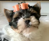 processed/52a1435d-97b1-4c3f-ab9f-a7691cf16ab4/facility/7cc17951-8e04-4c8d-a0af-2355d897dbd8