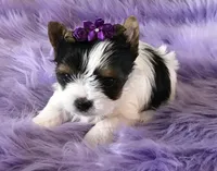 processed/52a1435d-97b1-4c3f-ab9f-a7691cf16ab4/facility/7d263bf7-462a-4d73-b8b3-ef1125052b86