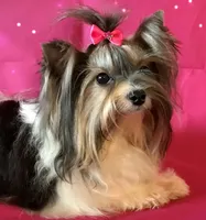 processed/52a1435d-97b1-4c3f-ab9f-a7691cf16ab4/facility/fede4e34-6efc-4c09-9fe5-8be4ddc5d79e