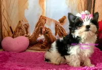 processed/52a1435d-97b1-4c3f-ab9f-a7691cf16ab4/listing/59f65eaa-532e-413f-aa16-d694bb654e8b/69a5e2c0-88d0-4019-a8af-c9c59ee36e04