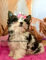 processed/52a1435d-97b1-4c3f-ab9f-a7691cf16ab4/listing/59f65eaa-532e-413f-aa16-d694bb654e8b/baf445f1-6e47-4271-8c9b-997073e1b13c