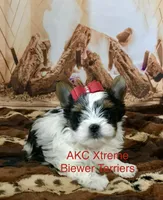 processed/52a1435d-97b1-4c3f-ab9f-a7691cf16ab4/listing/59f65eaa-532e-413f-aa16-d694bb654e8b/bf37b9ba-de4e-45a7-b2b4-acbc7129f2c1