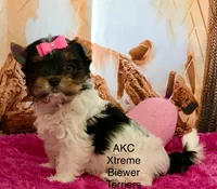 processed/52a1435d-97b1-4c3f-ab9f-a7691cf16ab4/listing/acd93176-b58a-441a-a8f2-d4d06e31154b/0bb40169-871c-4886-8f5e-d4fb3a3c2ce0