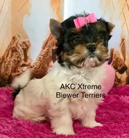 processed/52a1435d-97b1-4c3f-ab9f-a7691cf16ab4/listing/acd93176-b58a-441a-a8f2-d4d06e31154b/0c82f898-c550-4b8b-bb38-8811ca47f2f7