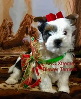 processed/52a1435d-97b1-4c3f-ab9f-a7691cf16ab4/listing/f32da59d-6e9a-487a-b0ee-05f5bd9c1f63/8f4d3d95-8d62-4f3e-89f9-b6f3dbacac04