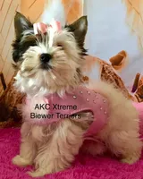 processed/52a1435d-97b1-4c3f-ab9f-a7691cf16ab4/listing/f32da59d-6e9a-487a-b0ee-05f5bd9c1f63/a2596702-19a2-4958-bceb-7419367561e1