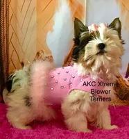 processed/52a1435d-97b1-4c3f-ab9f-a7691cf16ab4/listing/f32da59d-6e9a-487a-b0ee-05f5bd9c1f63/fe1222ef-0cad-49a6-a405-0046d15701aa