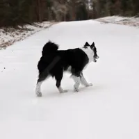 processed/52a17f26-85d1-419c-b7aa-d5b4c1feff0d/facility/202c8acc-1f04-4bae-b22a-578825d6fc9d