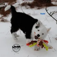 processed/52a17f26-85d1-419c-b7aa-d5b4c1feff0d/facility/9b7d00f3-bf3b-4e4d-bc75-a4ed1ba81dc4