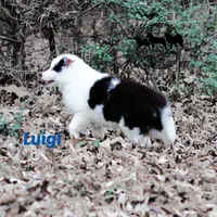 processed/52a17f26-85d1-419c-b7aa-d5b4c1feff0d/listing/24946943-3ec0-499e-99eb-1372f53a0402/5ef19151-3e22-4c5c-98d7-f70384227bd2