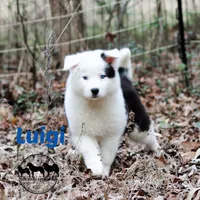 processed/52a17f26-85d1-419c-b7aa-d5b4c1feff0d/listing/24946943-3ec0-499e-99eb-1372f53a0402/dbd632ca-7c8b-4131-a0a8-cbbac155d22a