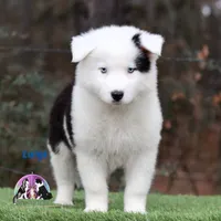 processed/52a17f26-85d1-419c-b7aa-d5b4c1feff0d/listing/24946943-3ec0-499e-99eb-1372f53a0402/eac6f142-1587-49f3-a21b-7b6063519496