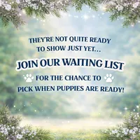 Dove Texas AKC See more info, a male Yakutian Laika for sale in Rockwall, TX – 1 of 1