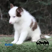 processed/52a17f26-85d1-419c-b7aa-d5b4c1feff0d/listing/91f35e8a-a2a8-4f5a-a0d6-b4f7deee66ca/227498ec-b13a-4b14-a37d-40fd8f1b9847