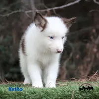 processed/52a17f26-85d1-419c-b7aa-d5b4c1feff0d/listing/91f35e8a-a2a8-4f5a-a0d6-b4f7deee66ca/8afdfa1a-9090-4fd1-840b-29fff95310c2