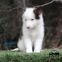 processed/52a17f26-85d1-419c-b7aa-d5b4c1feff0d/listing/91f35e8a-a2a8-4f5a-a0d6-b4f7deee66ca/a353f3a7-bd70-46a8-934c-ff3ca4abf2df