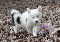 processed/52a17f26-85d1-419c-b7aa-d5b4c1feff0d/listing/bae13cf2-55e6-4f02-8500-d97d3f7e2c25/3e72754a-62da-4d67-b535-f5302b03d17f