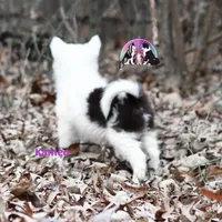 processed/52a17f26-85d1-419c-b7aa-d5b4c1feff0d/listing/bae13cf2-55e6-4f02-8500-d97d3f7e2c25/565eb7be-1c54-473d-8d86-52957cb59d99